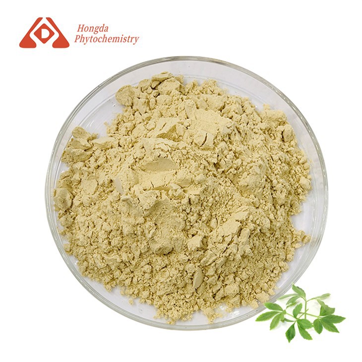gynostemma抽出粉末